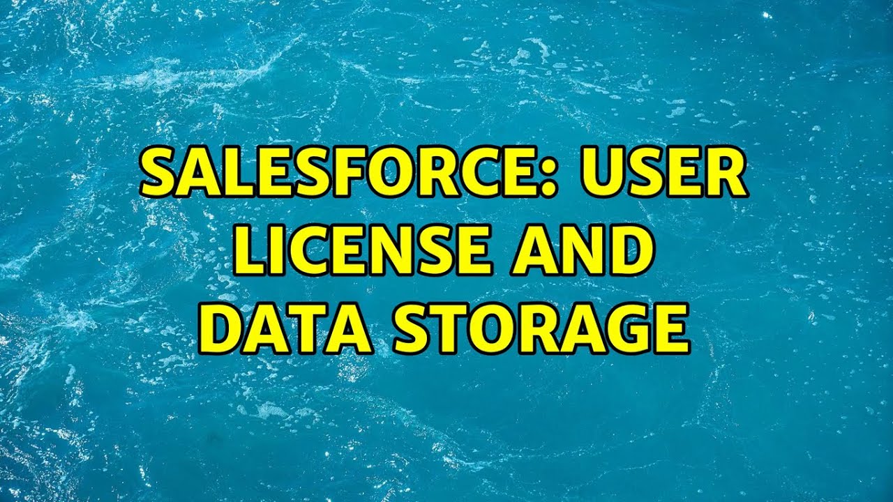 Salesforce User license and data storage YouTube