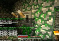 Minecraft Snapshot 12w22aThe jungle temple + hidden chest YouTube