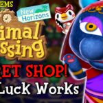 KATRINA'S SECRET SHOP & LUCK EXPLAINED! ACNH 2.0 Secrets in Animal