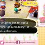 Animal Crossing New Leaf Secret Storage and a Decorating Seminar