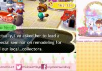 Animal Crossing New Leaf Secret Storage and a Decorating Seminar