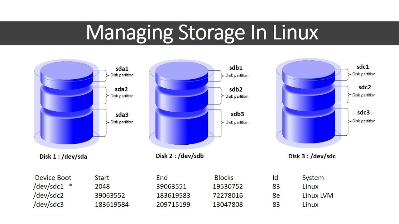 Managing Storage in Linux with fdisk , lsblk , blkid , du and df