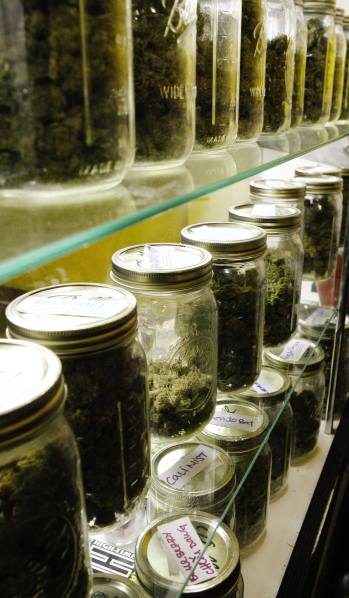 The best ways to store marijuana Containers, ideal conditions and more
