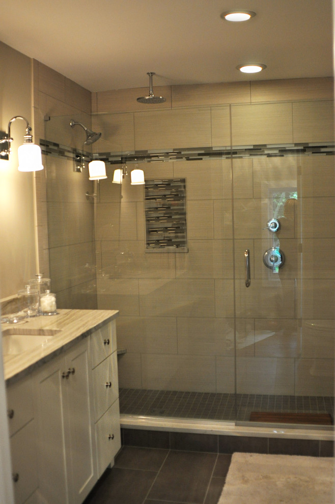 Naperville, IL Remodel Contemporary Bathroom Chicago by Steve