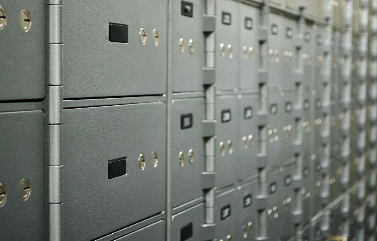Safe and Secure Vault Storage Options at Reserve Vault