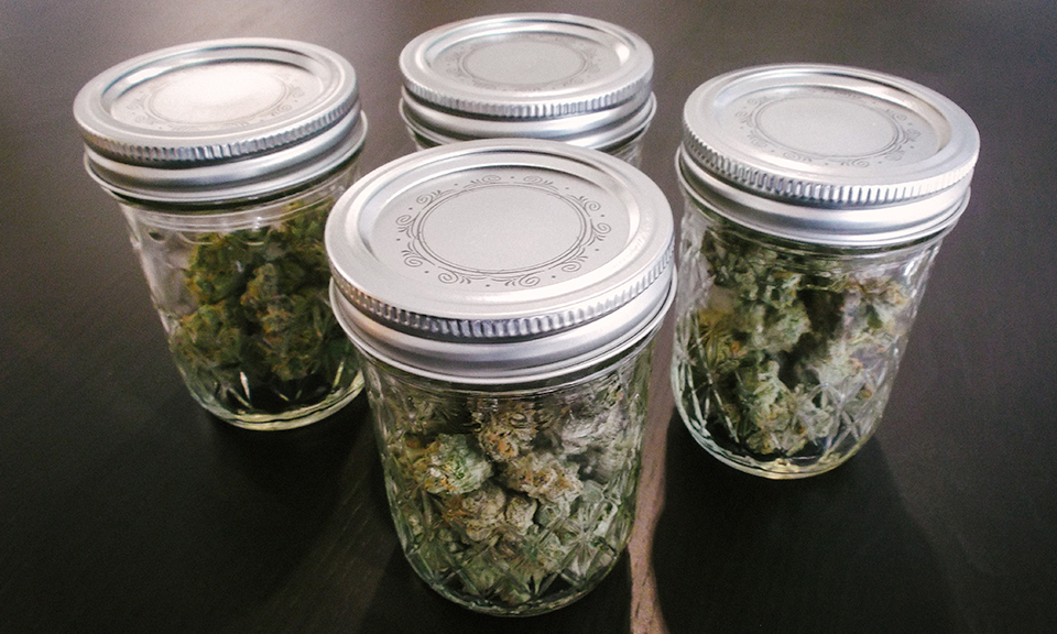 How to store weed How long is it good for?